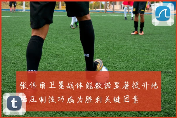 张伟丽卫冕战体能数据显著提升地面压制技巧成为胜利关键因素